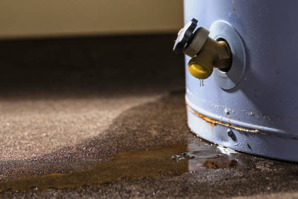 Best Commercial water damage restoration  in Belle, WV