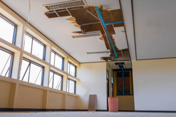 Best Water damage restoration near me  in Belle, WV