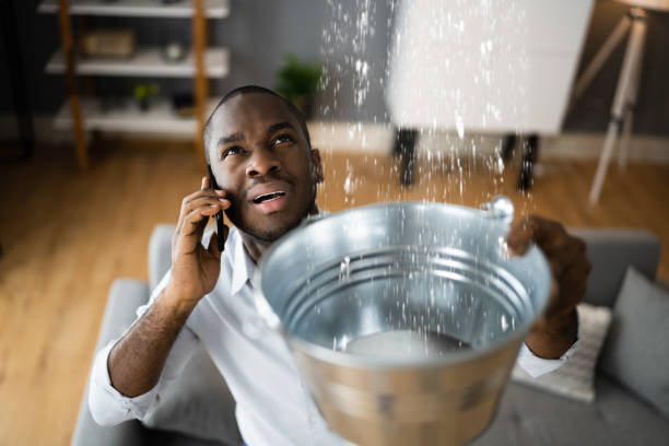 Best Water damage cleanup near me  in Belle, WV