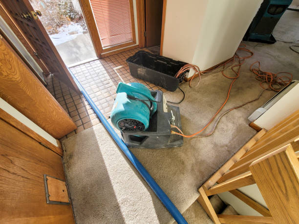 Best Emergency water damage restoration  in Belle, WV
