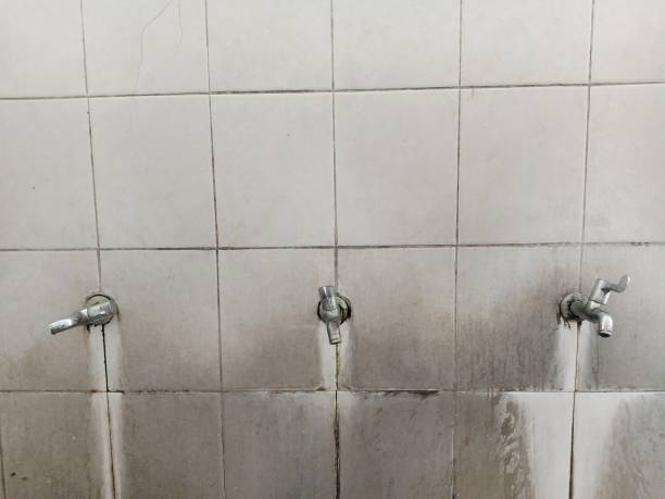 Best Fire Damage Restoration  in Belle, WV