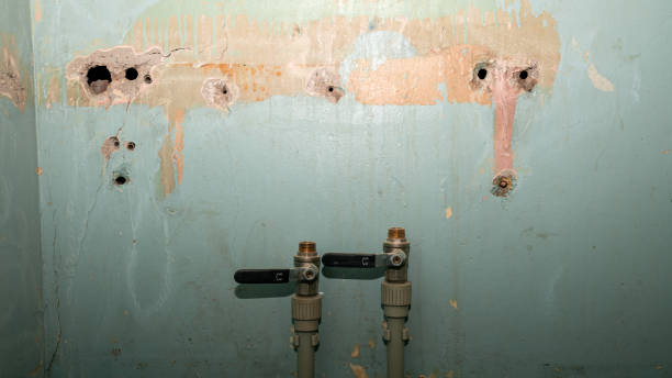 Best Local water damage restoration  in Belle, WV