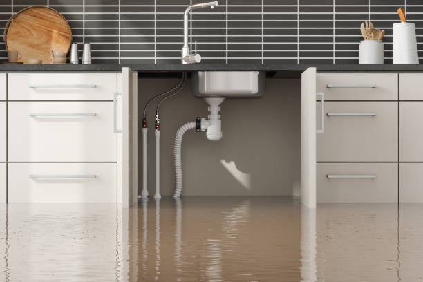 Best 24/7 water damage repair  in Belle, WV