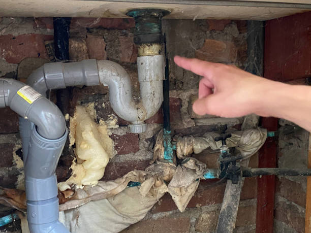 Professional Water damage restoration in Belle, WV