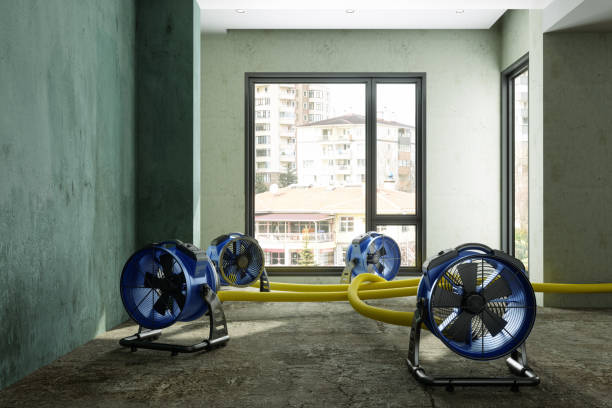 Local water damage restoration in Belle, WV