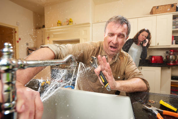 Best Fire Damage Restoration  in Belle, WV
